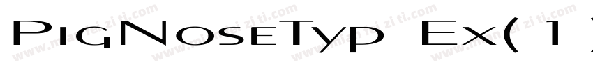 PigNoseTyp Ex(1)字体转换